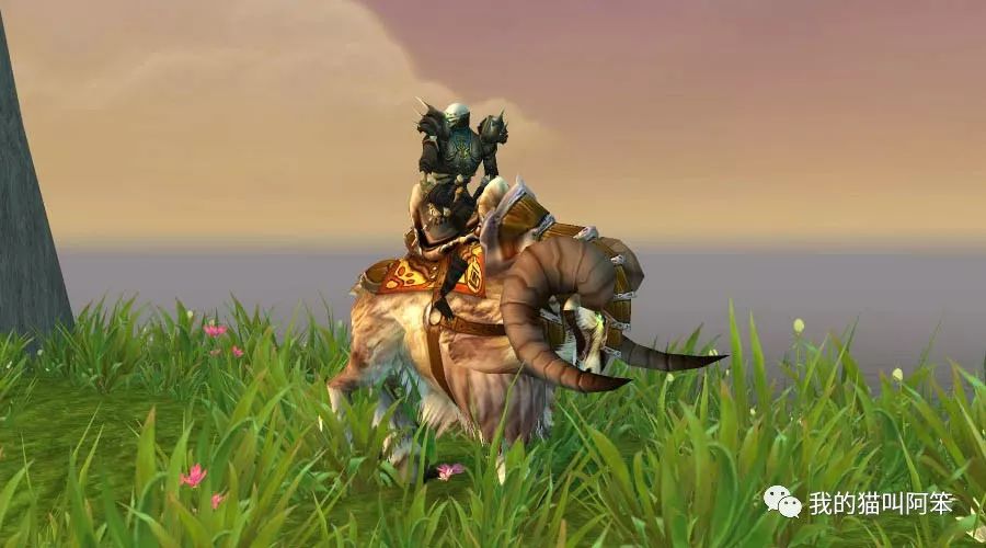 你的坐骑还在当花瓶吗？