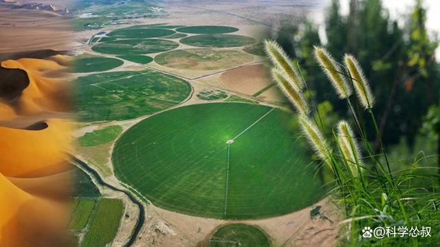 如何在沙漠里造出绿洲? 如何在沙漠里造出绿洲?