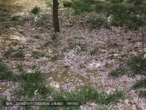 落英纷飞到底怎么玩才能不翻车？