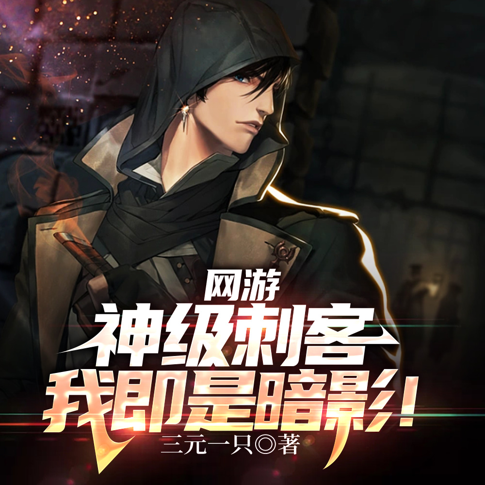 网游神级刺客我即使暗影小说剧情介绍