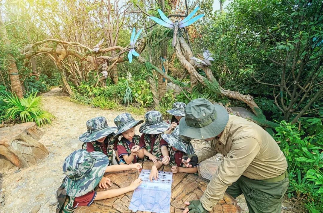 探索中立生物新营地与两栖生物的奥秘