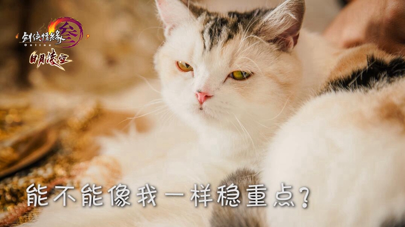 明教圣猫考验总失败怎么办_五粮液贿赂法省3小时通关 明教圣猫考验总失败怎么办_五粮液贿赂法省3小时通关