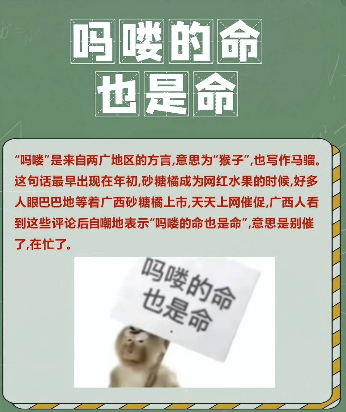 吗喽文化全解析：年轻人的自嘲哲学与逆袭密码，全网最全生存攻略