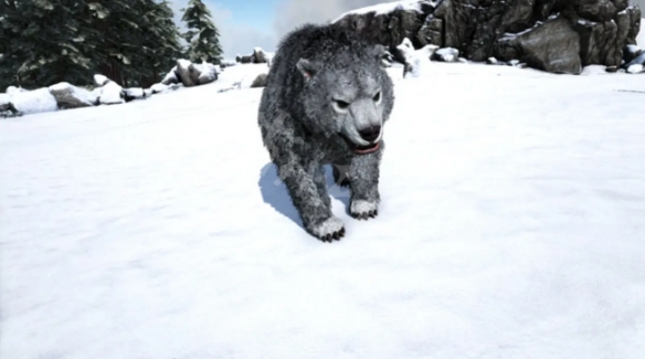 零下30度雪山遇险如何保命？霜狼战袍实战测评报告