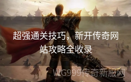 新手如何快速玩转新开传世网站？