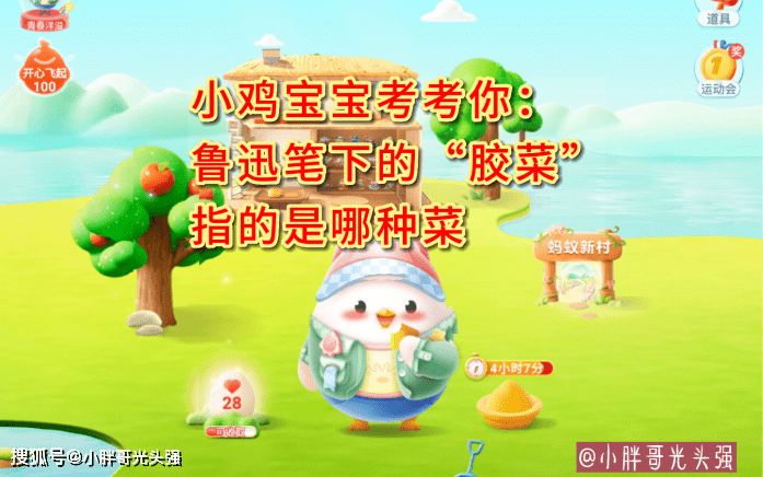 鲁迅笔下的胶菜全攻略:从历史溯源到食用指南 鲁迅笔下的胶菜全攻略:从历史溯源到食用指南