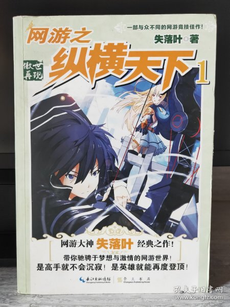 别再迷茫！《网游之纵横天下lv帽版》阅读攻略在此