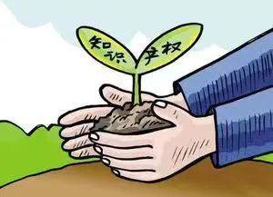 开设私服是否违法？深入解析著作权保护的重要案例