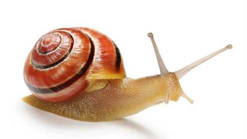 为什么别人升级像坐火箭你却像蜗牛爬？