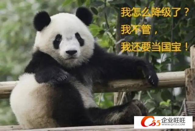 为什么你的熊猫总是养不活? 为什么你的熊猫总是养不活?