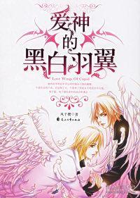 爱神的黑白羽翼txt如何获取_版权风险解析_正版渠道推荐