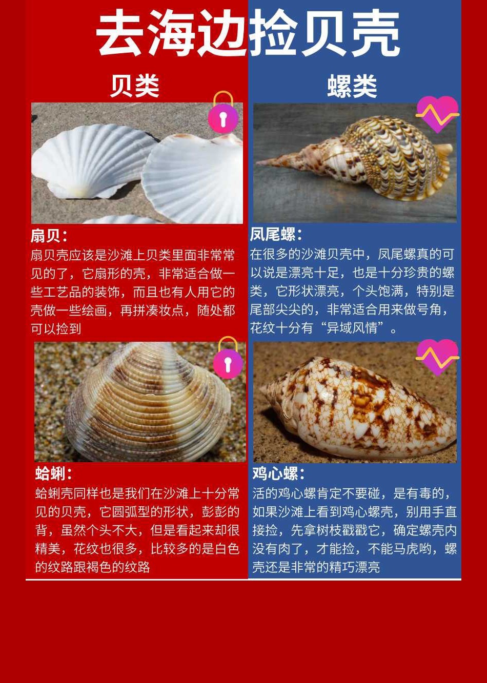 海边找小扇贝诀窍_正确观察姿势教学_涨潮时间详解