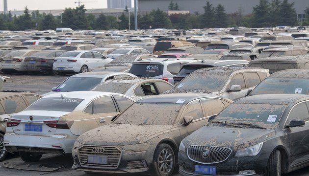 2025年属牛人需警惕：这四种东西最忌讳，影响运势大揭秘