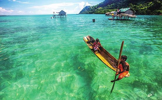 刷抖音真的能刷出花来吗？