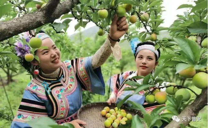 为什么你的电商团队总是干不过隔壁老王？