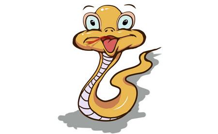 1977年属蛇人43岁真会遭遇大劫吗？