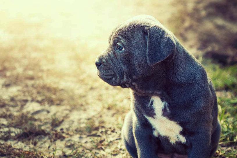 淘宝买苹果手机真的靠谱吗？