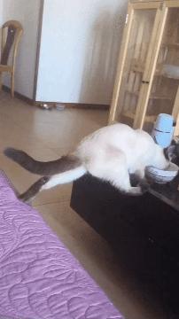 新手玩幻世录被琰虐哭？这角色到底怎么上手？