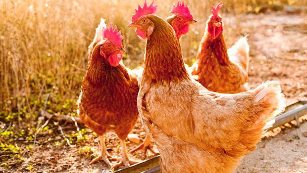 流年不利真的会让人倒霉一整年吗？