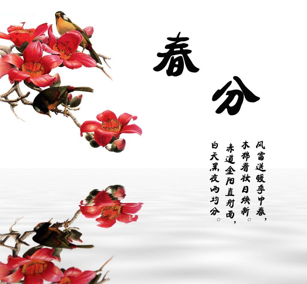 3月20日到底藏着多少秘密节日？