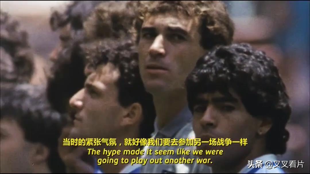 养迷你垂耳兔真的像养毛绒玩具一样简单吗？