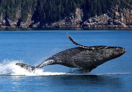 2022年8月搬家吉日查询：挑选适合搬家的好日子