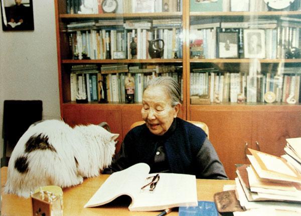 爱猫者说：为什么猫被认为是完美的动物？专家解析猫咪的独特魅力