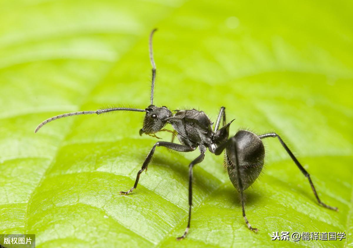 2014年日历表还能玩出什么新花样？