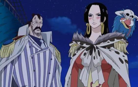 养小鼯鼠真的像刷视频看到的那么治愈吗？