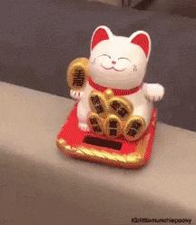 招财猫鱼能长到多大？这种鱼体型相对比较大