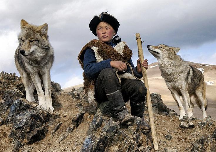 一只狗的大学时光能教会我们什么人生道理？