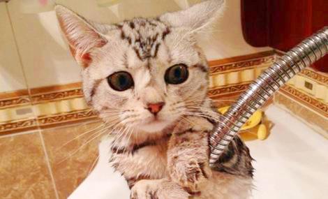 拼多多标题优化技巧：如何撰写吸引人的商品标题