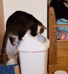 姓杨有内涵的名字推荐：寓意深远、独特好听的名字大全