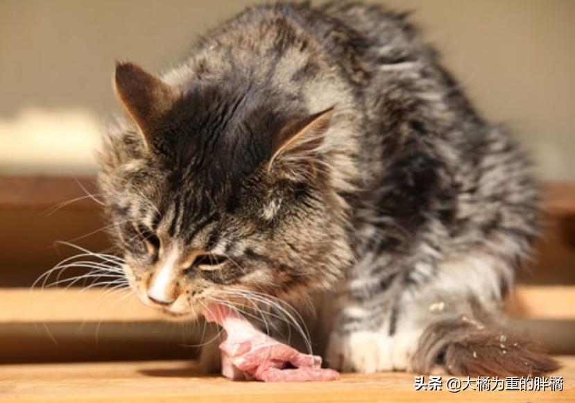 淘金币高效引流技巧大揭秘：如何快速提升店铺流量