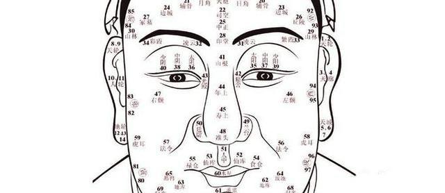 白色座头鲸是海洋里的幽灵还是真实存在？