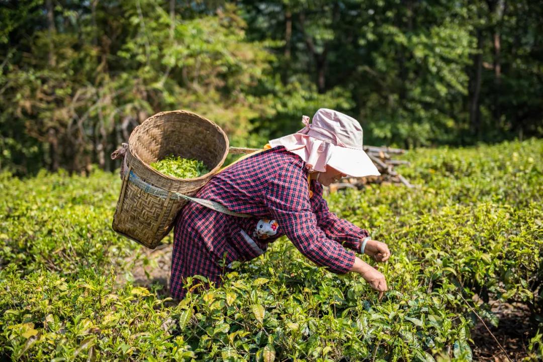 赵姓起名怎么避开 烂大街 还能显文化？