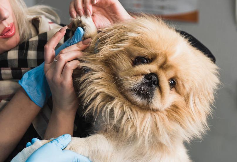 响亮有涵养的范姓名字推荐，为你的宝宝取个好名字