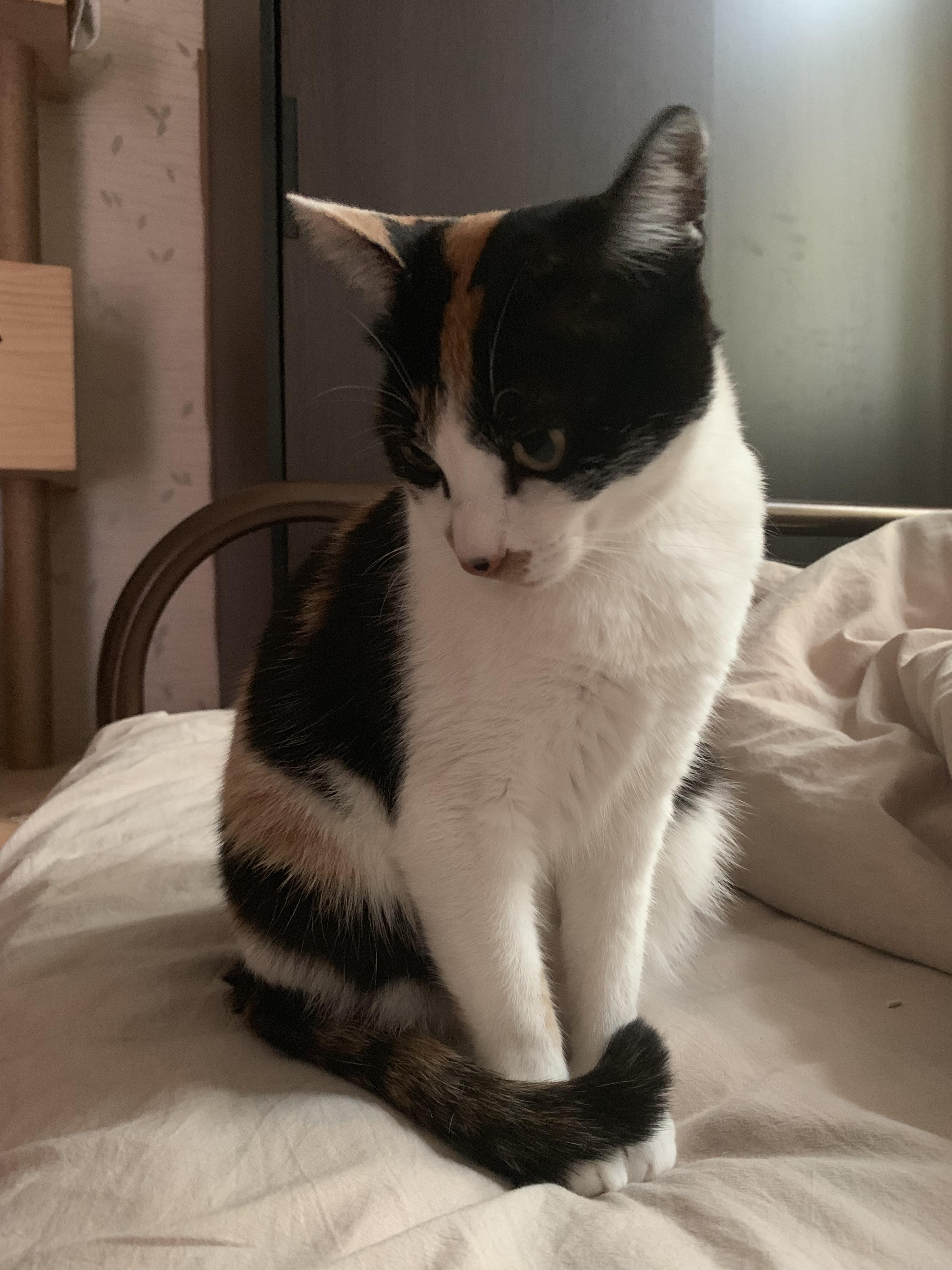 姓名打分网站测的高分名字真能改运吗？