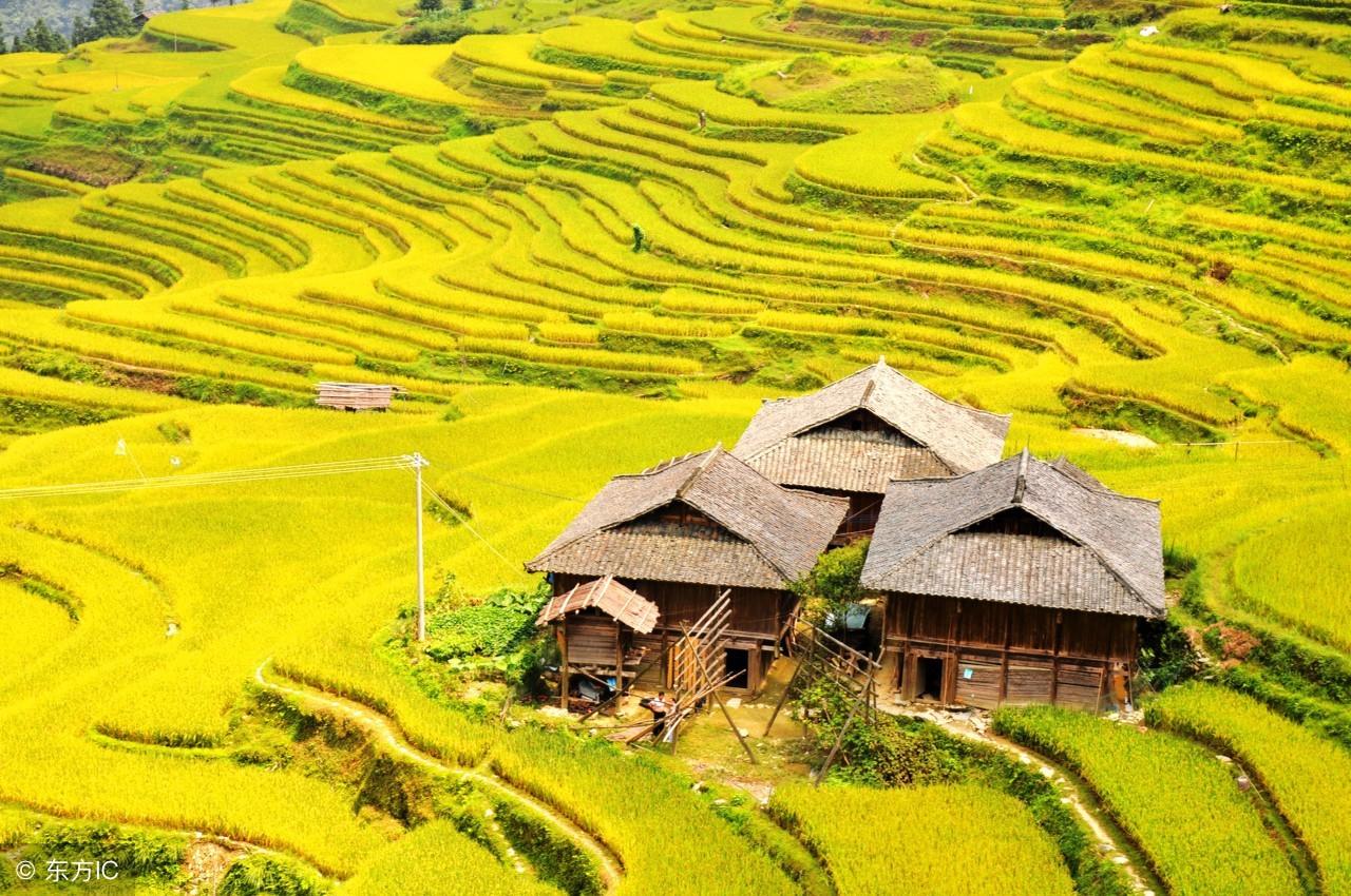 梦见坐飞机预示着什么？