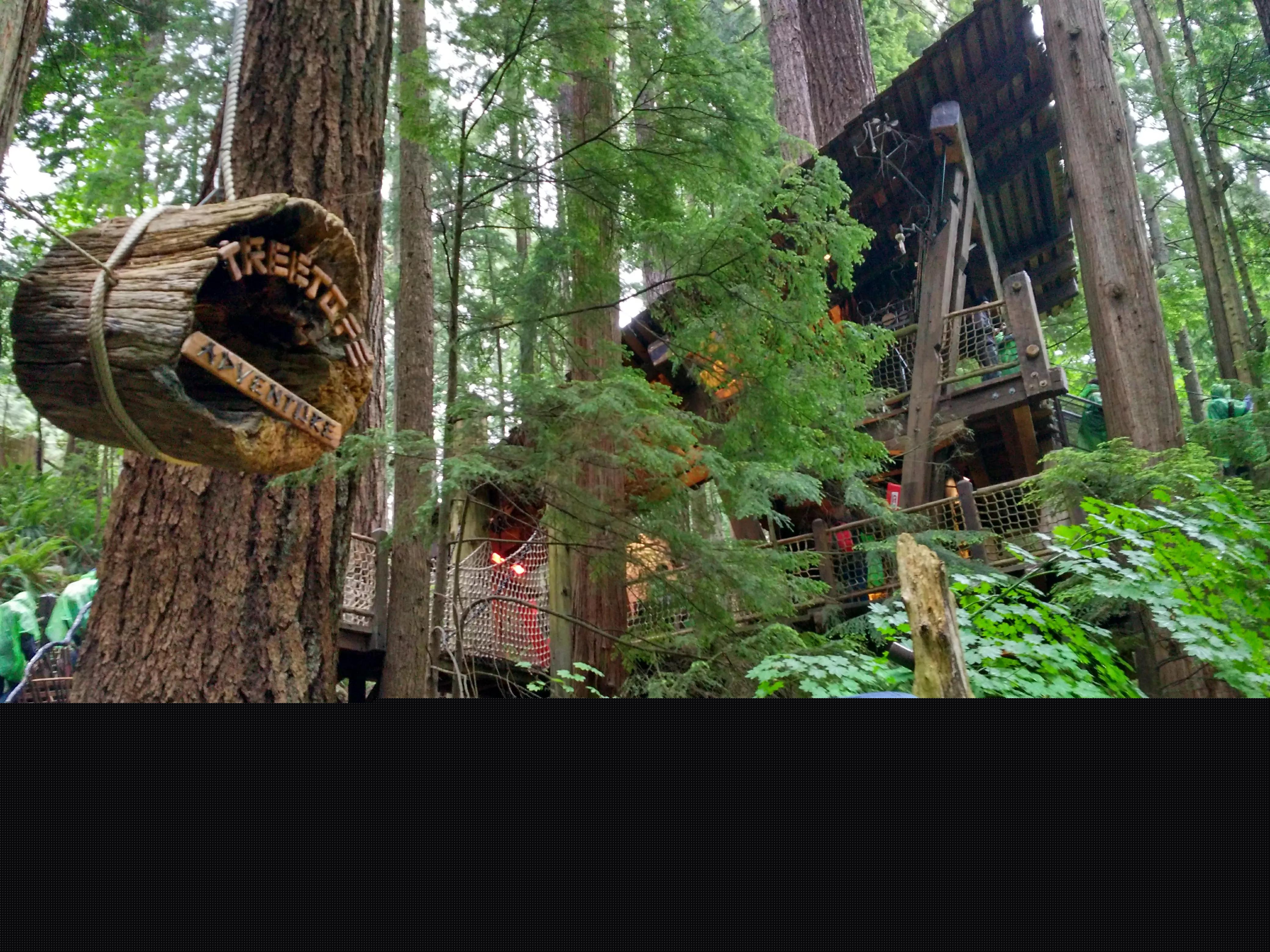 缸 字的部首为什么是 缶 而不是 工 ？