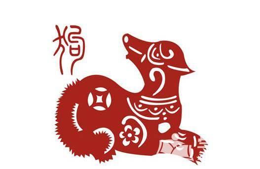 属相真的能决定你的运势吗？