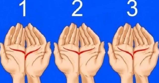 掌纹真的能预测命运吗？