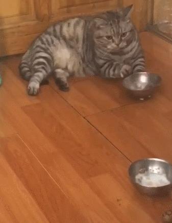 淘宝客服务费收取标准及详细费用解析，了解最新规定