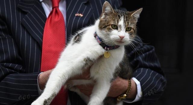 6月14日星座生日运程书：全面解析你的幸运日与运势走向