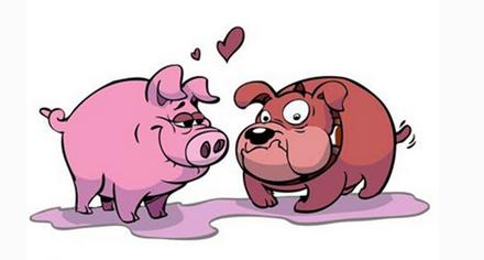 2019年生肖运势到底能不能信？