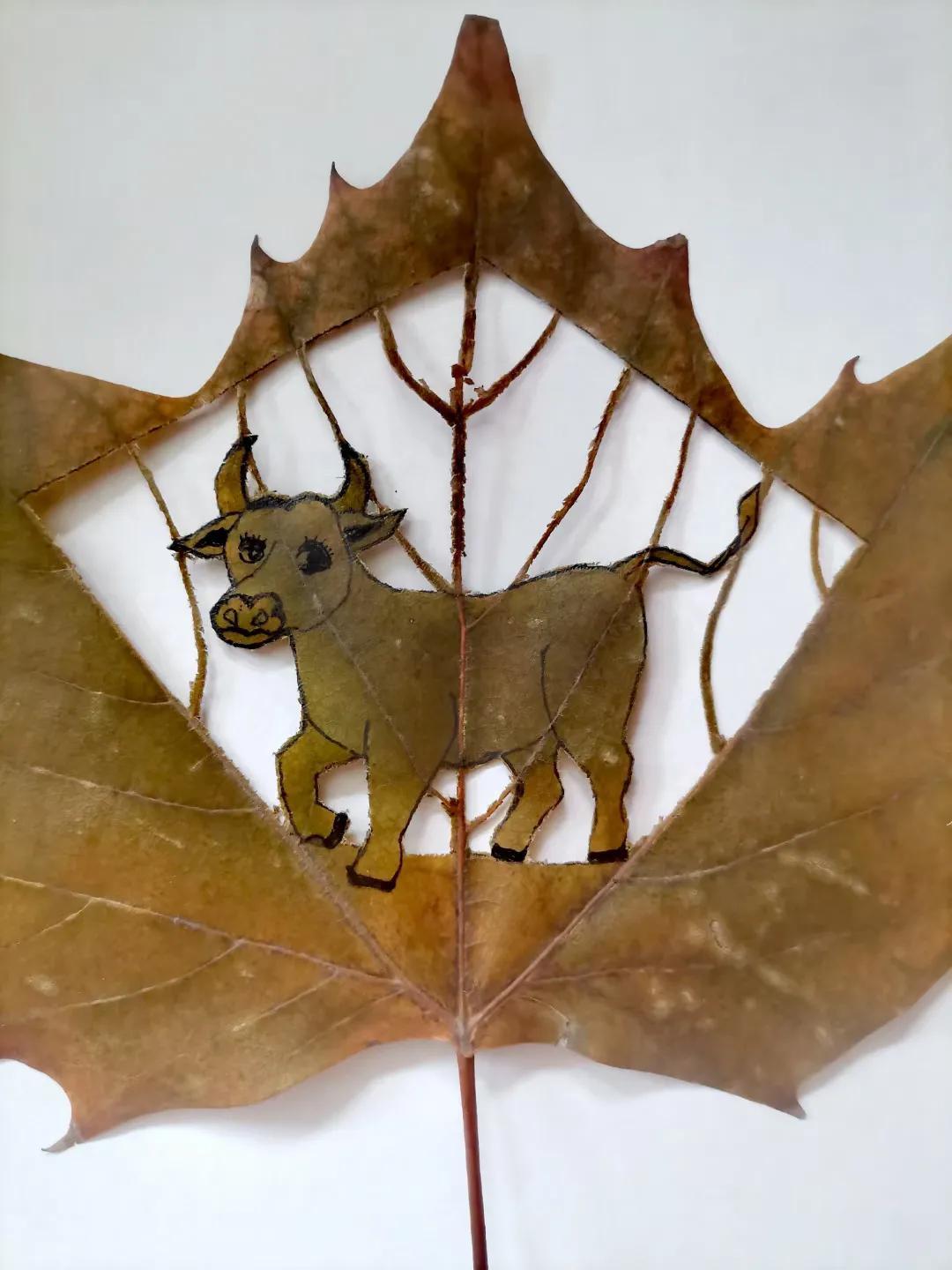 属鸡男找对象该避开哪些属相？