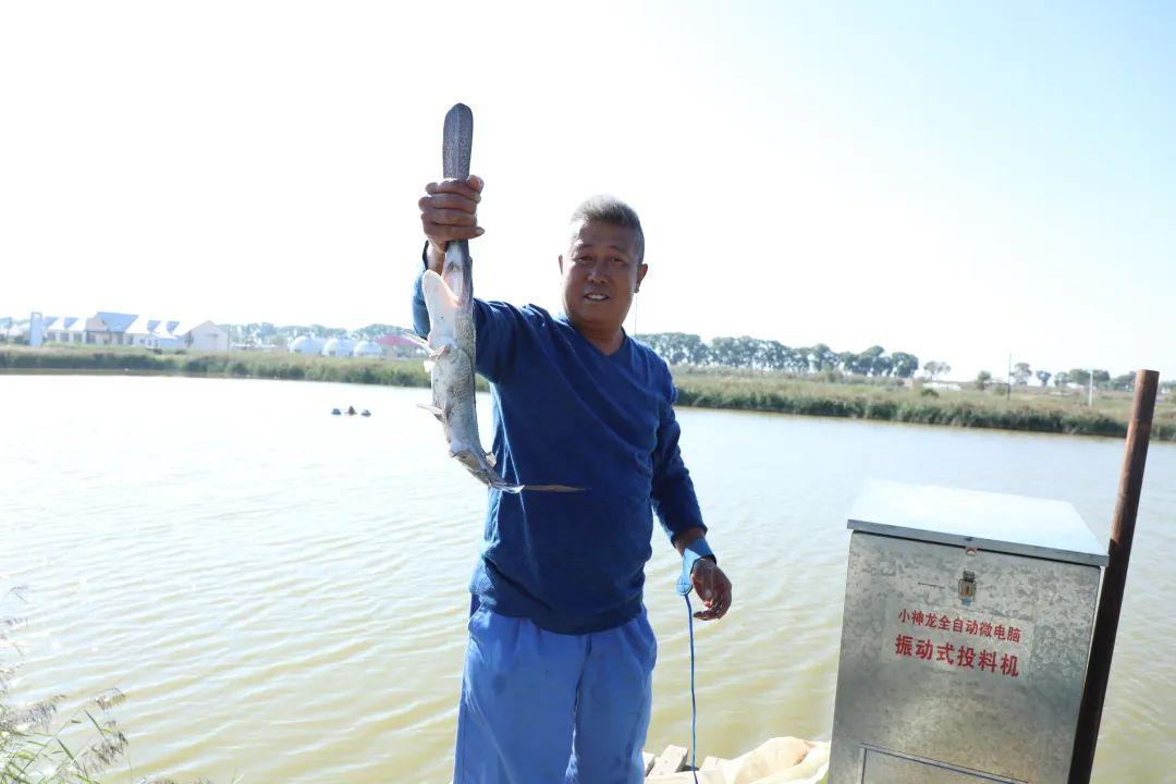 鸭嘴鱼饲养并不难,快来看看鸭嘴鱼怎么养 鸭嘴鱼饲养并不难,快来看看鸭嘴鱼怎么养