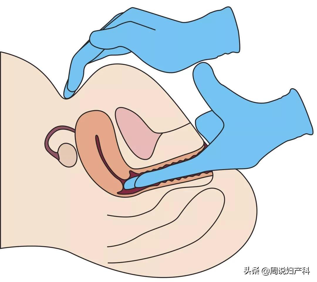 触到底读chù还是zhù？拼音小白必看避坑指南