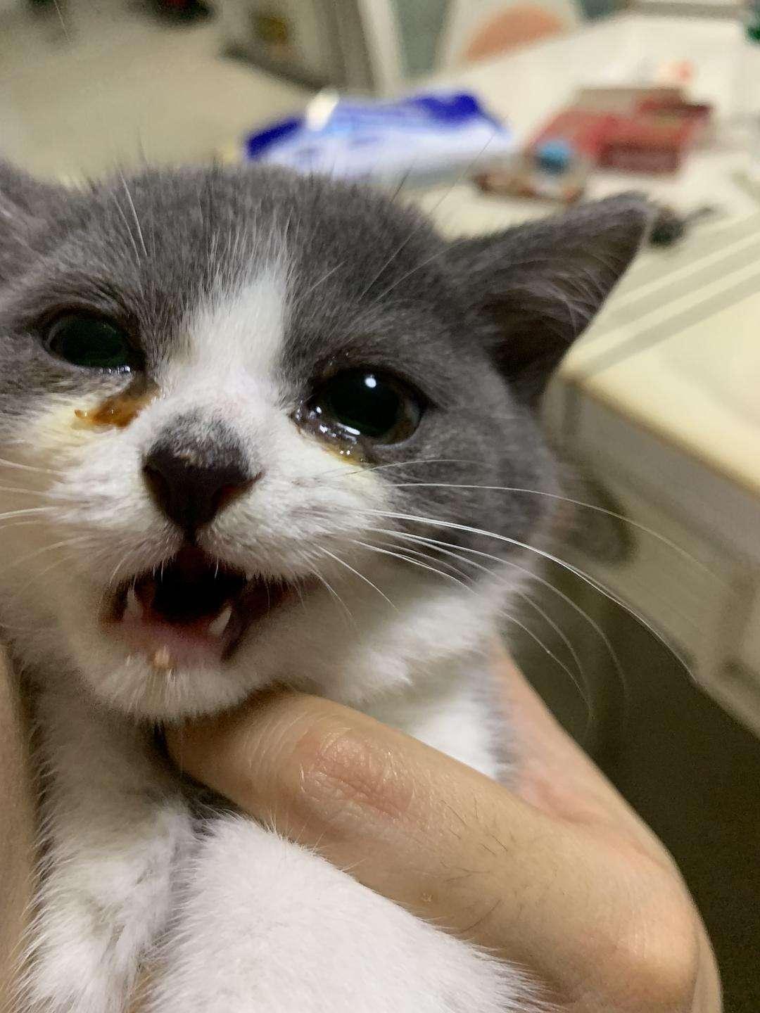 尹姓宝宝取名必须避开哪三大雷区？