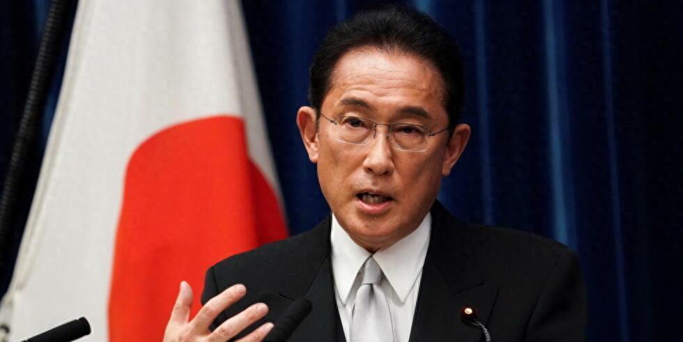 绿毛龟真的适合新手饲养吗？